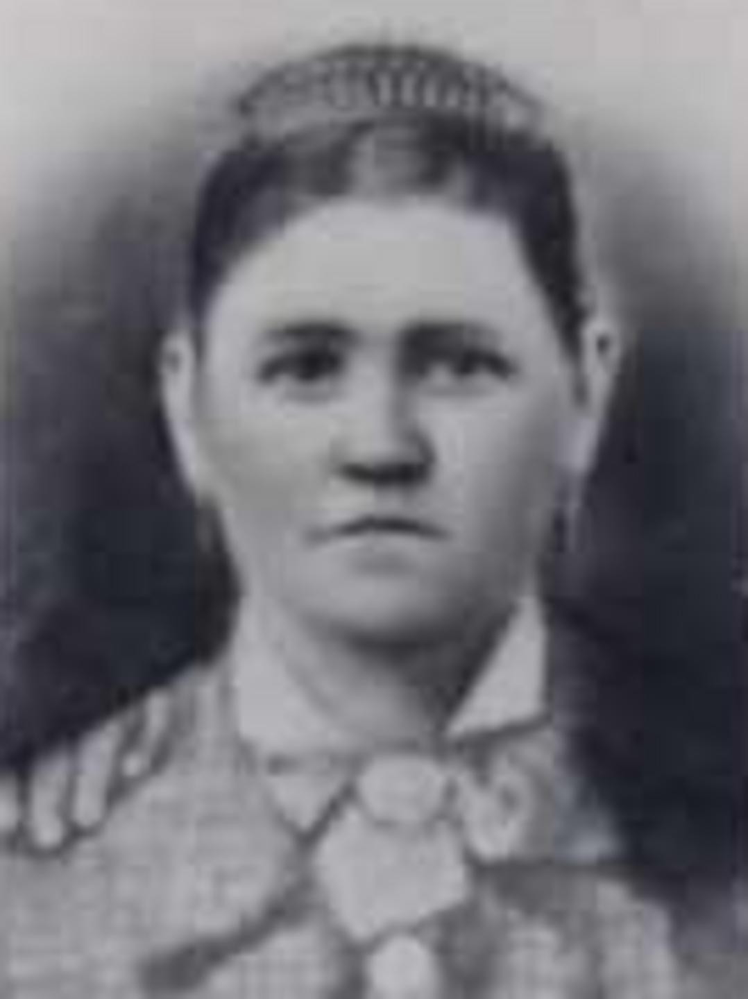 Kirsten Johnson (1848 - 1925) Profile